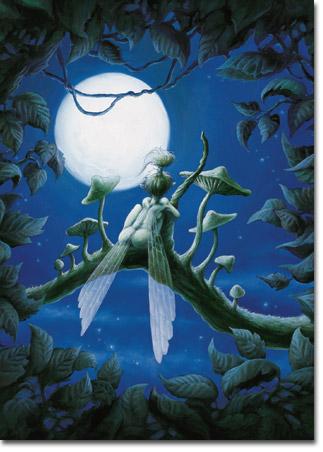 Il ne faut jamais ....